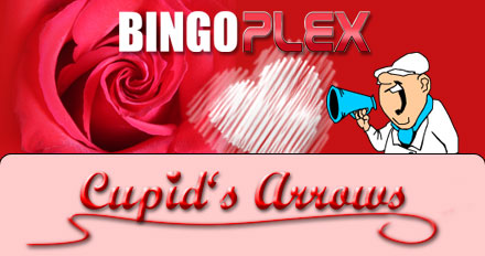 Bingo Plex